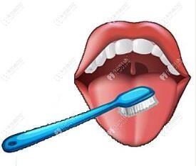 巴氏刷牙法图解