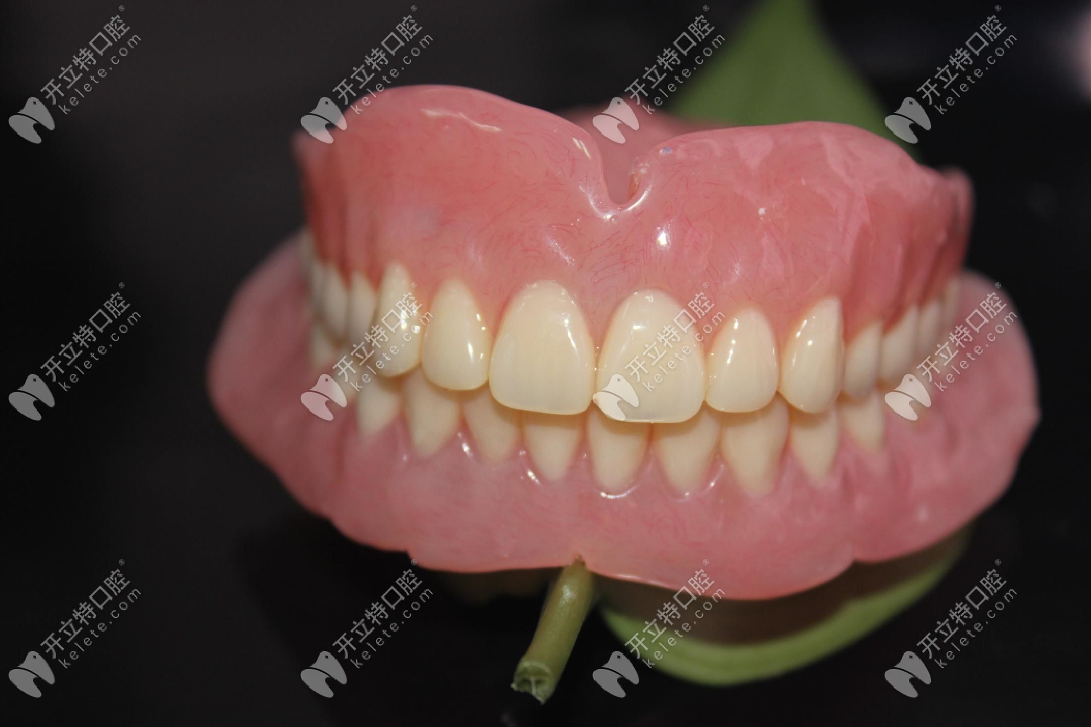 假牙龈效果图图片