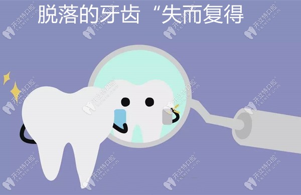 已是第2次去广州海珠区江湾路的海狸口腔做超声骨刀种植牙
