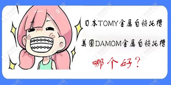日本tomy金属自锁托槽和美国Damom哪个比较好?从价格来比一比