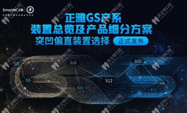 正雅GS产系装置总览及产品细分的方案在上海正式发布