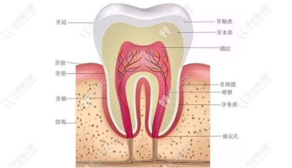 牙釉质损伤