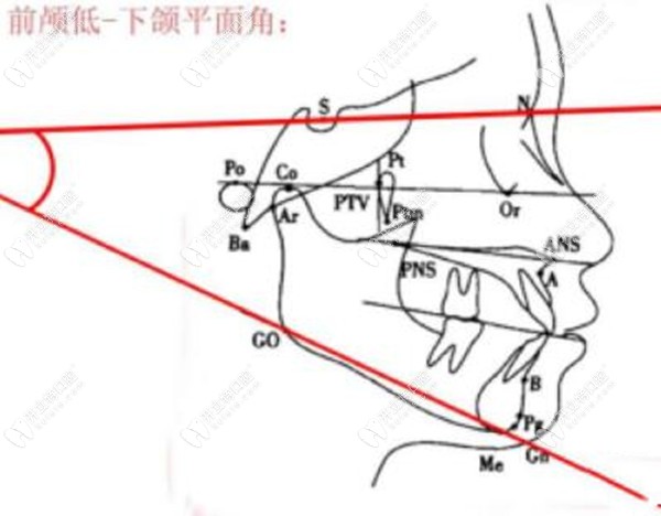 下颌骨下缘