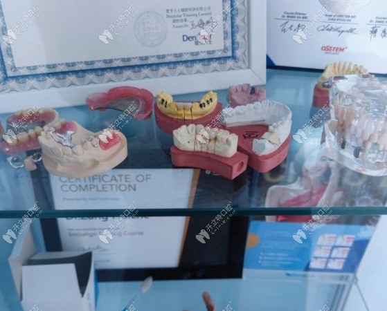 北京百諾口腔牙模陳列柜