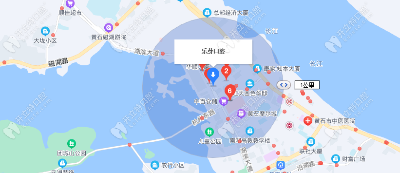 樂芽口腔總店位置及周邊公交站點