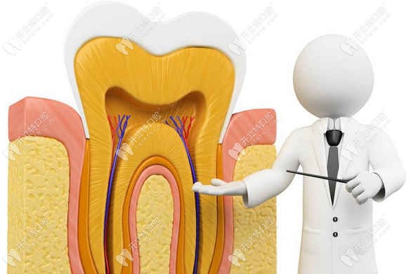 防止牙槽骨吸收和牙龈萎缩的方法