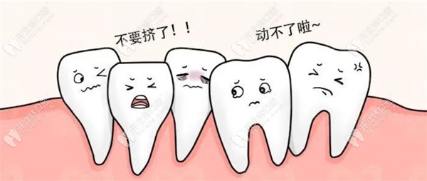 拔牙矫正牙齿会松动吗