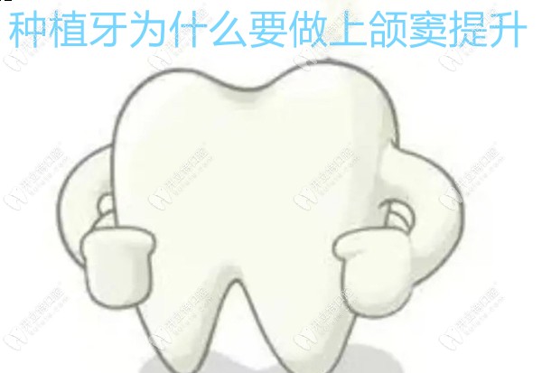 种植牙为什么要做上颌窦提升,想问上牙种植是不是都需要做