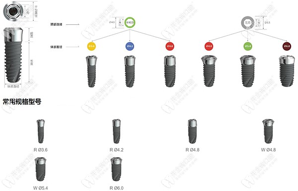 关于国产利多齿种植体的规格