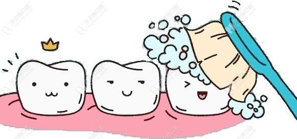 臨湘小白兔口腔半年洗牙