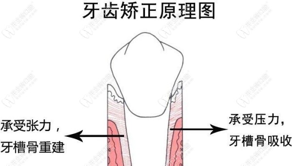 秦皇岛麦格口腔牙齿矫正怎么样kelete.com