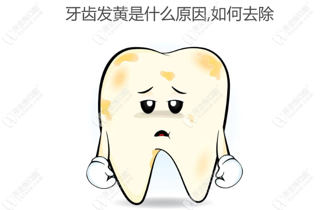 牙齿发黄是什么原因,如何去除