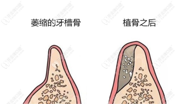 南昌樂莎莎口腔特色優(yōu)勢介紹