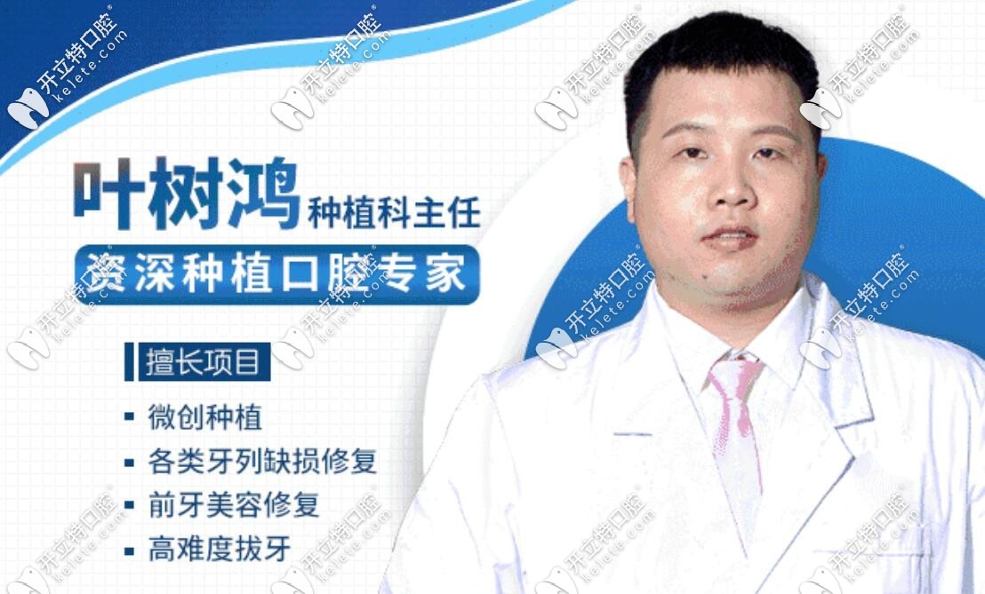 曙光精齒口腔葉樹(shù)鴻