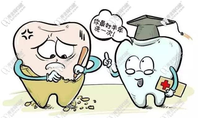 半年洗次牙
