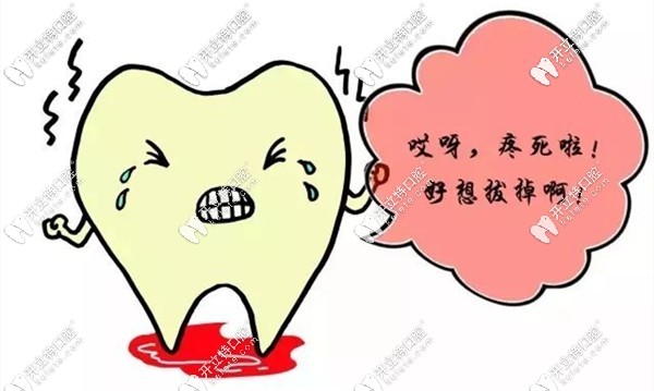牙疼發(fā)燒怎么辦