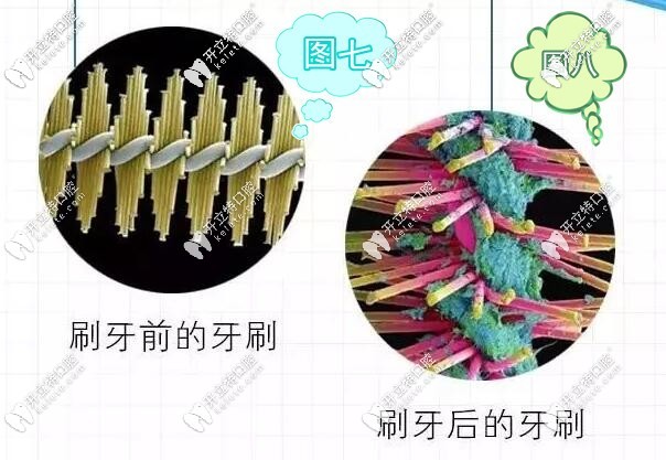 刷牙前刷牙后的细菌