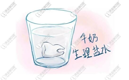牙齿放入牛奶或生理盐水中