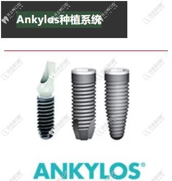 德国Ankylos种植牙