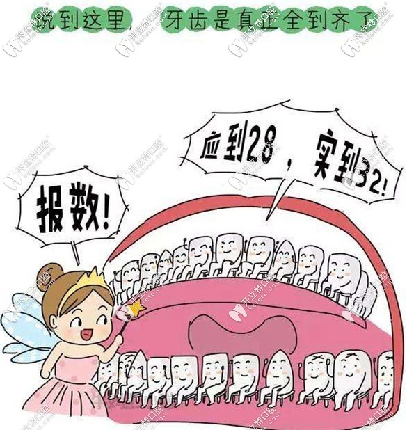 恒牙一般是由28-32顆