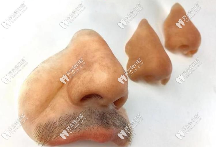 假鼻子修復(fù)體圖