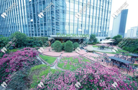 成都極光口腔的空中花園