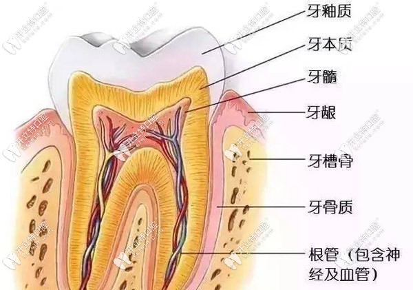 根管遺漏的問(wèn)題