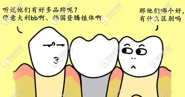 登騰和意大利bb有什么區(qū)別