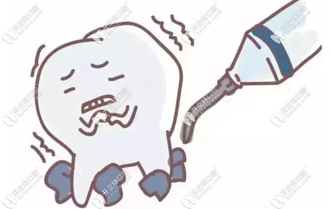 牙科醫(yī)生從來不洗牙也是不可能的