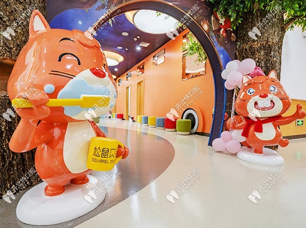 昆明松鼠口腔