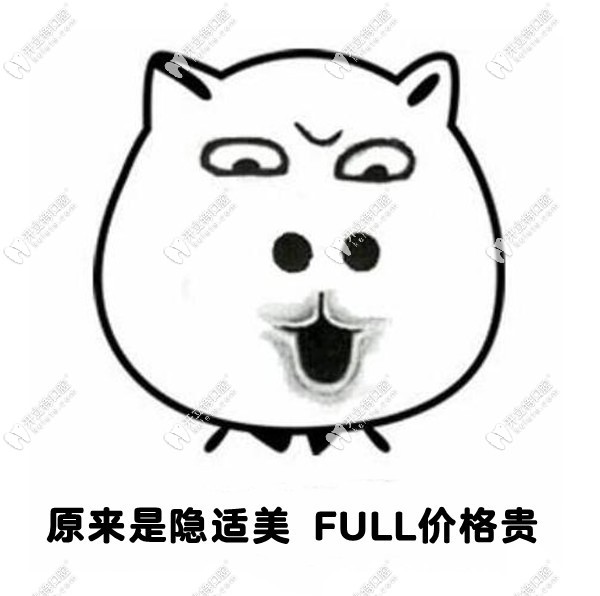 隱適美full價格比較貴