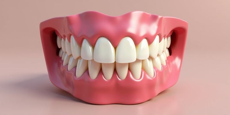 二、老年人吸附性義齒多少錢一套費(fèi)用影響因素解析