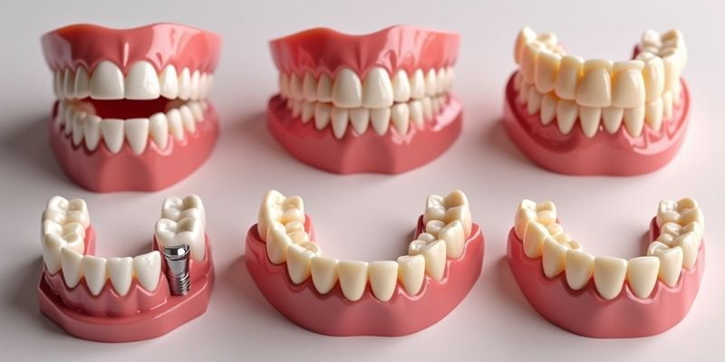 二、浙大口腔各院區(qū)地址及乘車路線www.locksmithinlargomd.com