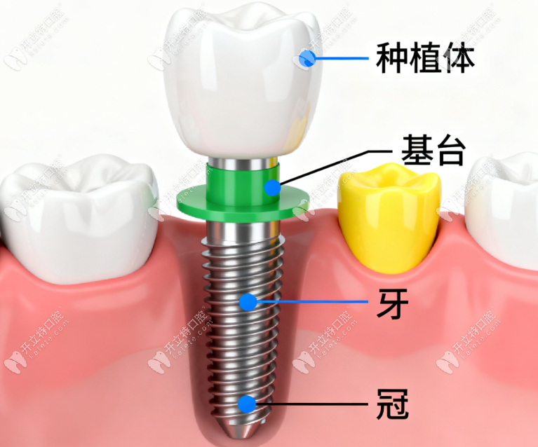 医生团队推荐