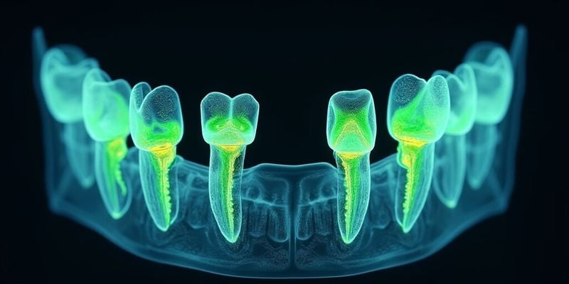 博羅縣牙科醫(yī)院哪家好？2025本地牙科榜單：前4家補(bǔ)牙、種牙性價比高