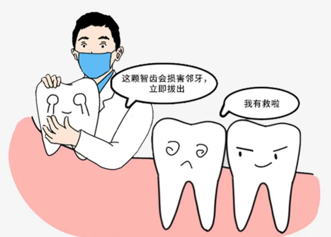 二、關(guān)于涿州市孫莊鄉(xiāng)附近私立口腔拔牙的價(jià)格解析