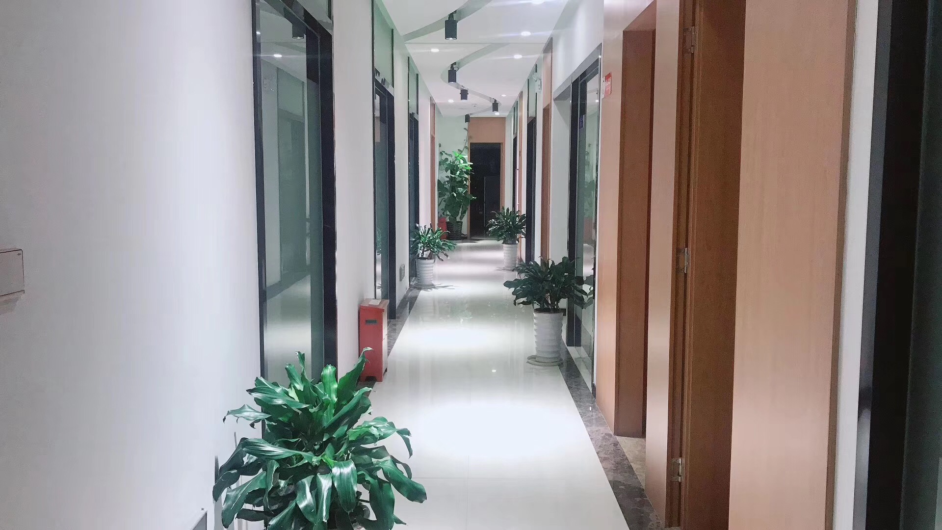 固德口腔董毅個人簡歷全公開!北大口腔碩士,3萬+種植體完成量，坐診南城總院！