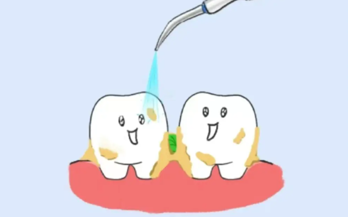 大連舒齊口腔門(mén)店分布：中山西崗沙河口3區(qū)位置與流程