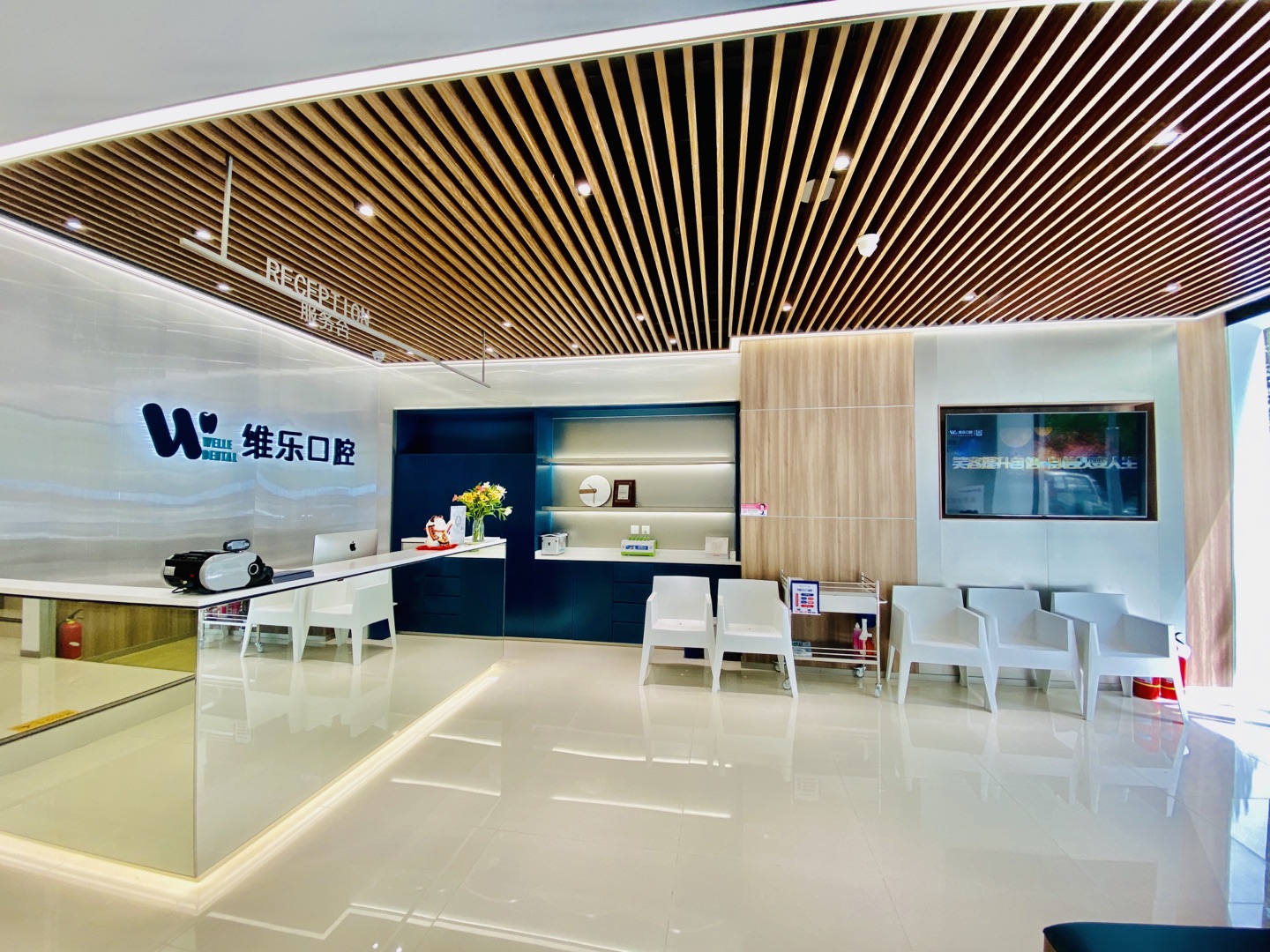 二、2026年維樂口腔種植矯正馬連道店價格表