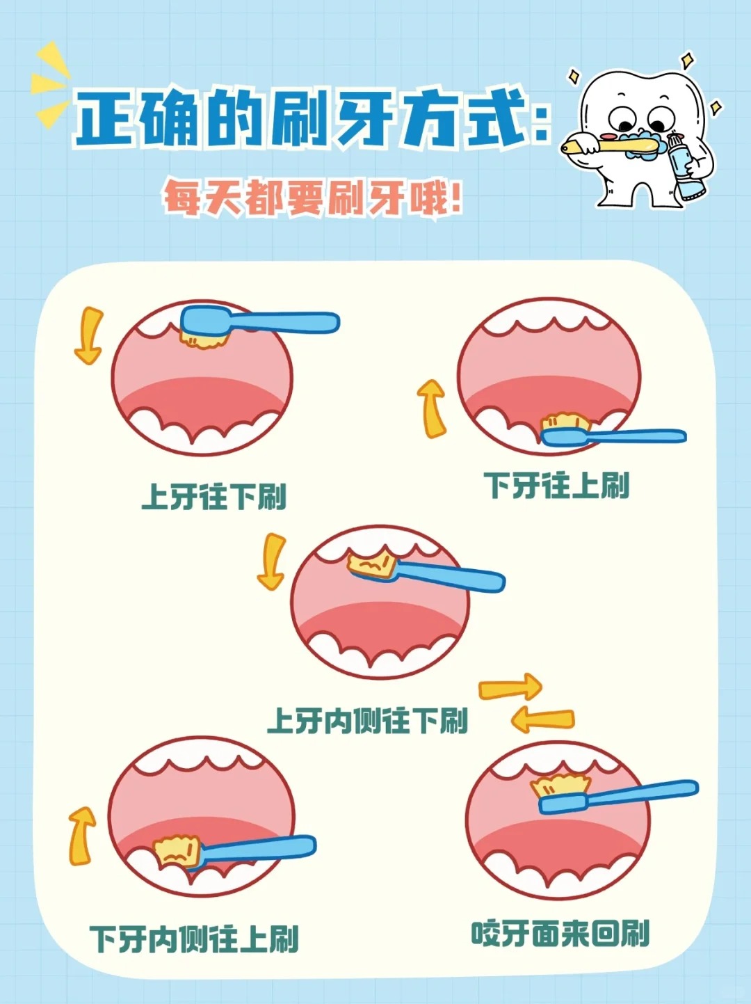 上頜6號牙的臨床意義：