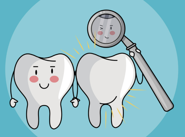 三、不同項(xiàng)目?jī)r(jià)格明細(xì)與性價(jià)比分析