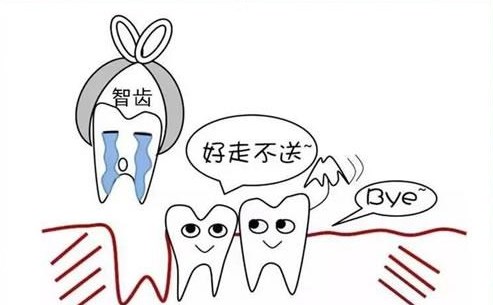 深圳予乐口腔医院地址到底在哪?2026年导航罗湖金城大厦三座一楼39号地铺,国贸老街中间!