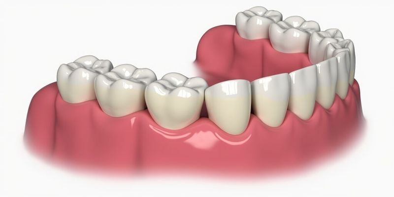 珠海九龍口腔醫院價格表：種植牙項目