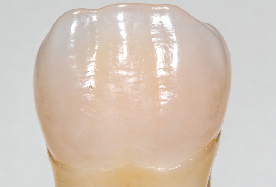 香港牙科診所推薦與價格分析