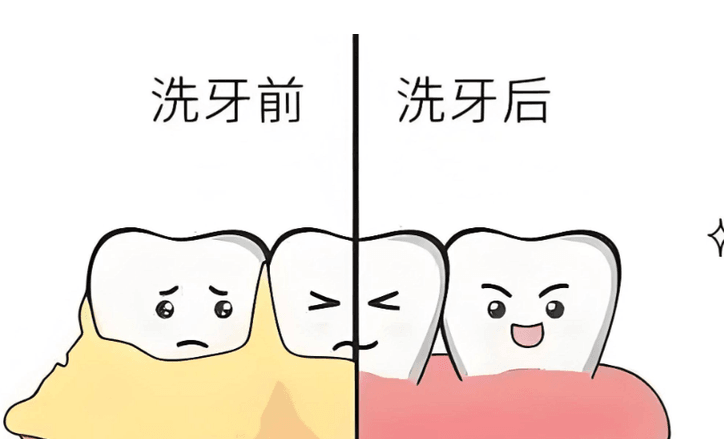 避坑红线:为什么去舒适美口腔看牙,一定要“去前先查排班”? 避坑红线:为什么去舒适美口腔看牙,一定要“去前先查排班”?